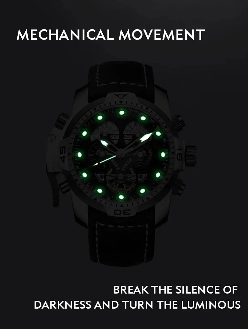 Luxury Automatic Waterproof Inspirational Watches