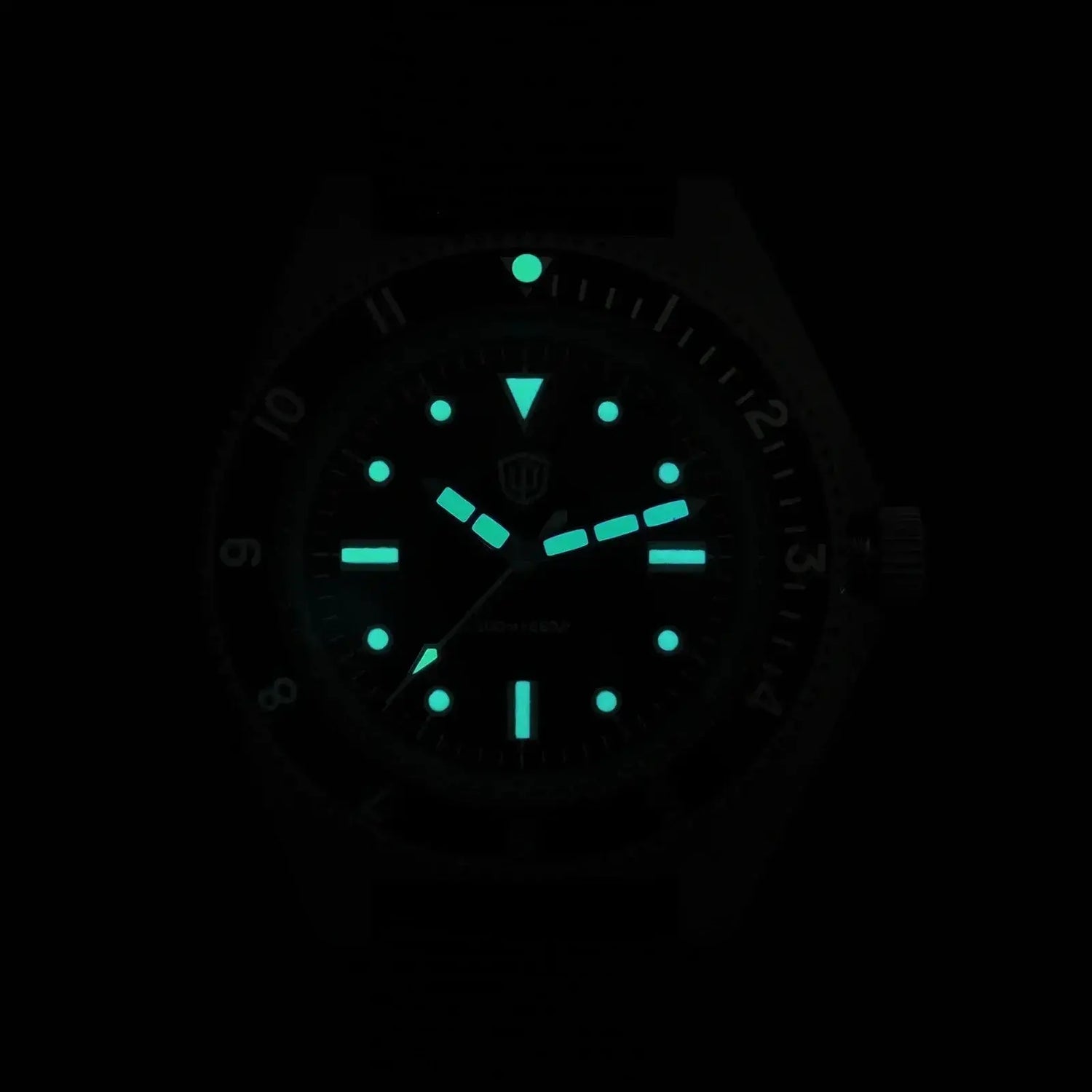 Dives Watch Quartz Movement Sapphire Crystal Inspirational Watches