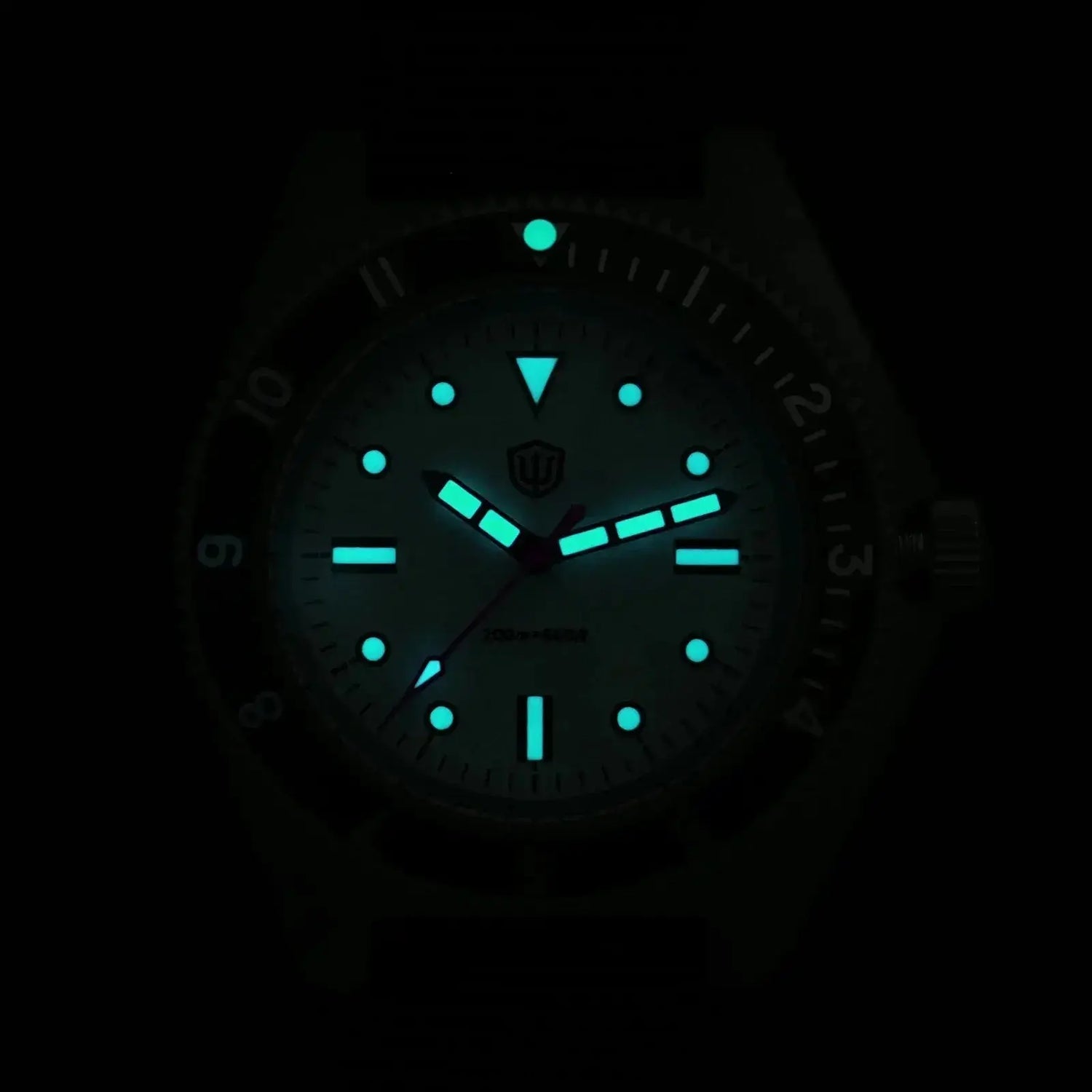 Dives Watch Quartz Movement Sapphire Crystal Inspirational Watches
