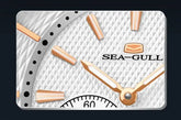Oval Dial Automatic Mechanical Waterproof Luminous Inspirational Watches