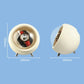 Compact Single Watch Winder