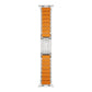 Titanium and Silicone Apple Watch Strap