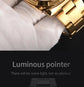 Automatic Waterproof Skeleton Luxury Mechanical Watch Inspirational Watches
